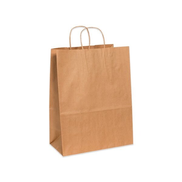 Bsc Preferred 13 x 7 x 17'' Kraft Paper Shopping Bags, 250PK BUY00030196 - main